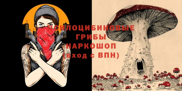 амф Алексеевка